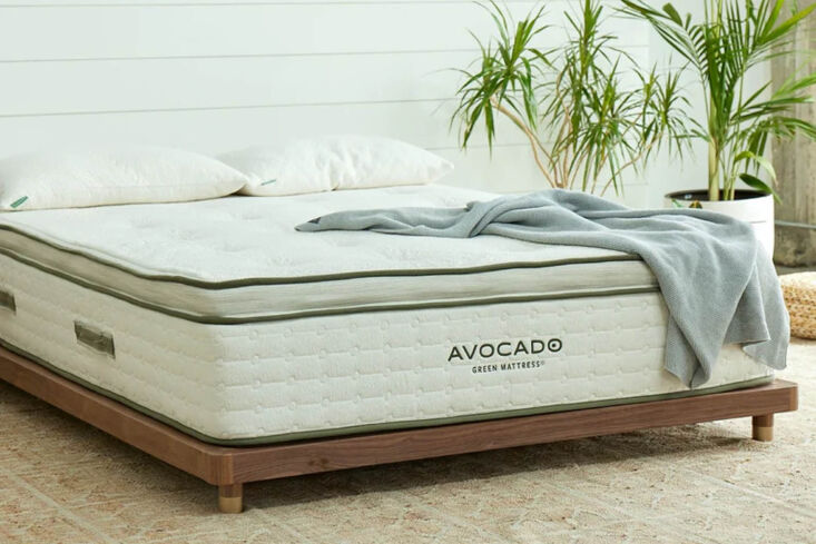 avocado malibu platform bed frame maple 329