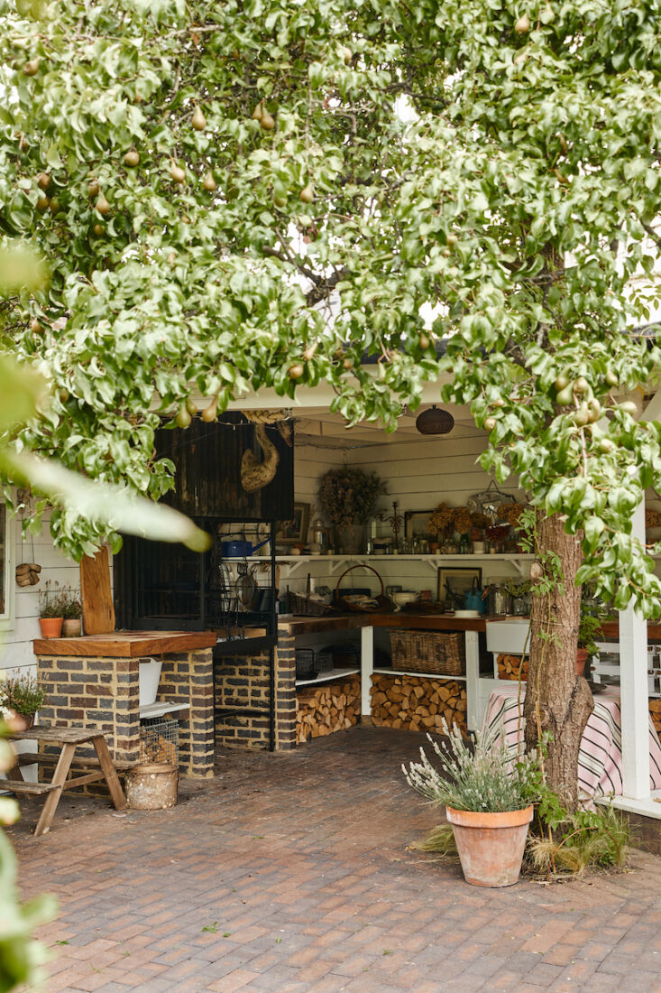 A pear tree separates the outdoor kitchen area from the slightly raised seating and dining area in the outdoor room. Angus has trained roses to grow up the trunk and planted pony tail grasses at the base.