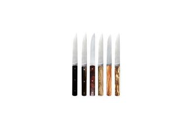 Opinel Steak Knives, French Stainless Steel, 4 Colors, Set of 4 on Food52