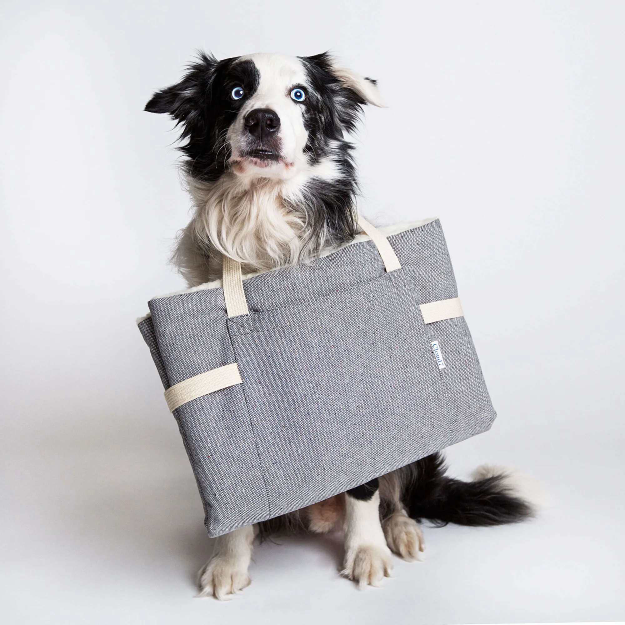 Holiday Gift Guide 2018: For the Dog Lover - Remodelista