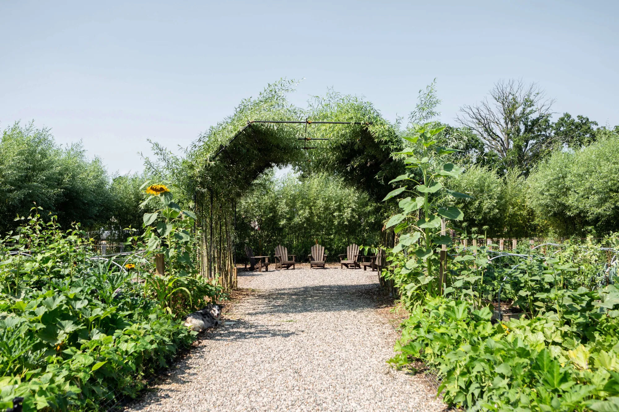 Trending on Gardenista: Foodie Farmers - Remodelista