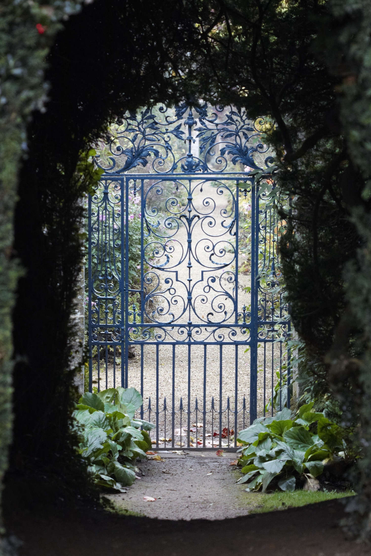 Trending on Gardenista: Beyond the Garden Gate - Remodelista