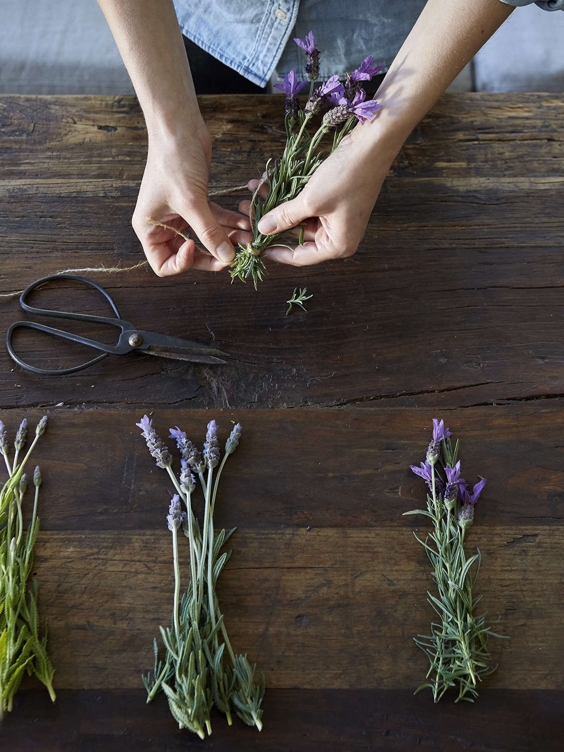 Farms and Foragers