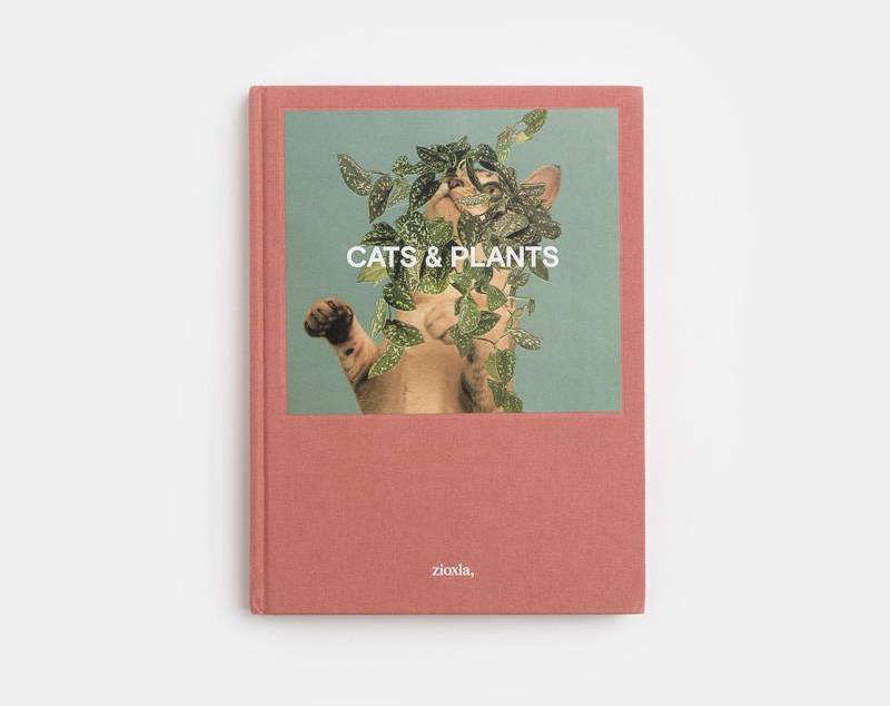 Gift Guide 2017: 5 Gifts for the Cat Person - Remodelista