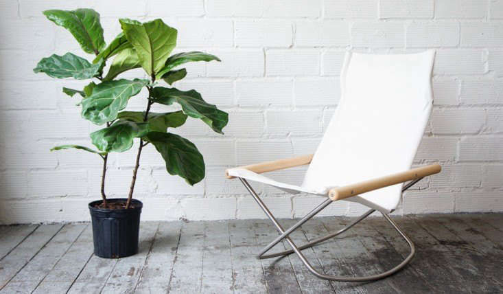 Trending on Gardenista: Camp Essentials - Remodelista