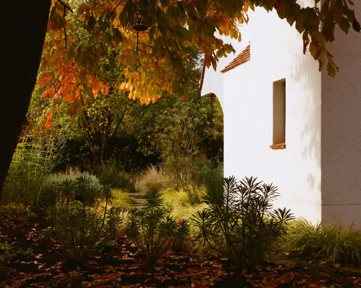 a robust garden surrounds the home. photograph by rory gaylor for rural office. 15