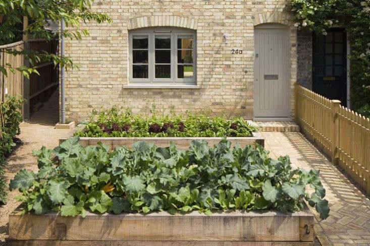 TrendingonGardenista:Small-SpaceGardening,London-Style-Remodelista