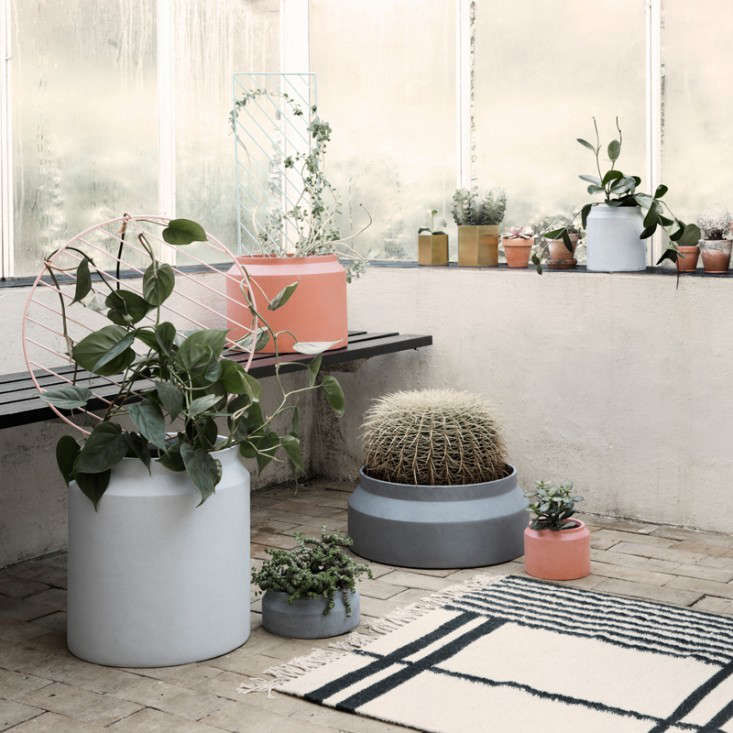 TrendingonGardenista:LivingwithPlants-Remodelista