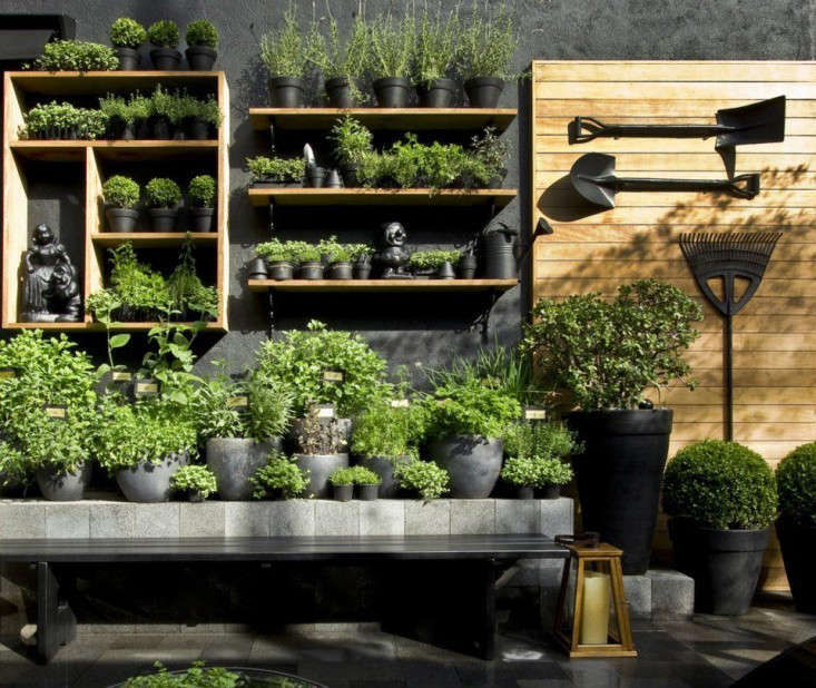 TrendingonGardenista:GardenEnvy-Remodelista