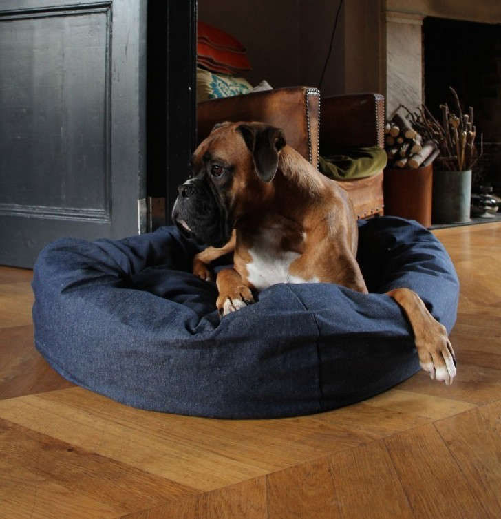 GiftGuide:8PresentsfortheDogLover-Remodelista