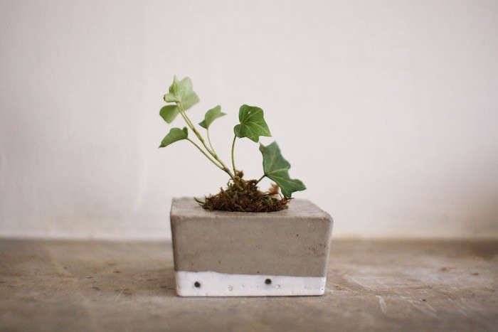 TrendingonGardenista:GrowingGreen-Remodelista