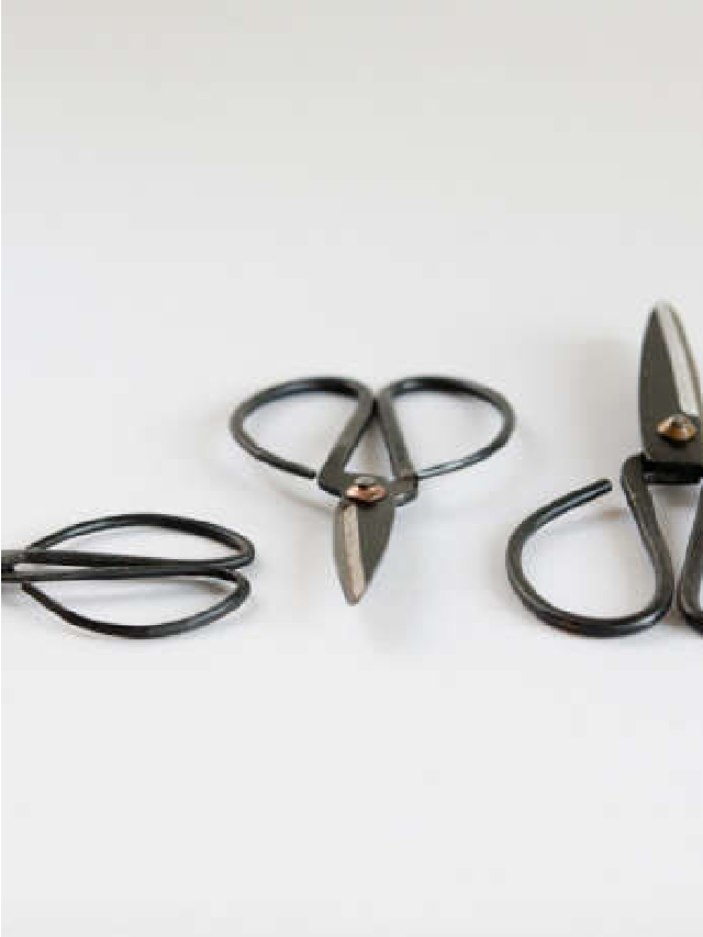 10 Easy Pieces: Floral Scissors - Gardenista Web Story - Remodelista