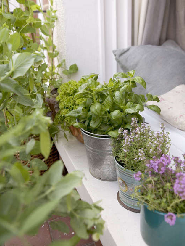 Required Reading: The Edible Balcony - Gardenista Web Story - Remodelista