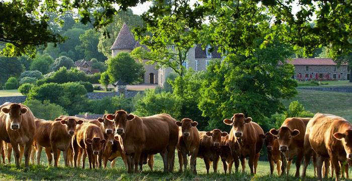 TravelswithanArchitect:ARestoredChateauinFrance,FarmIncluded-Remodelista