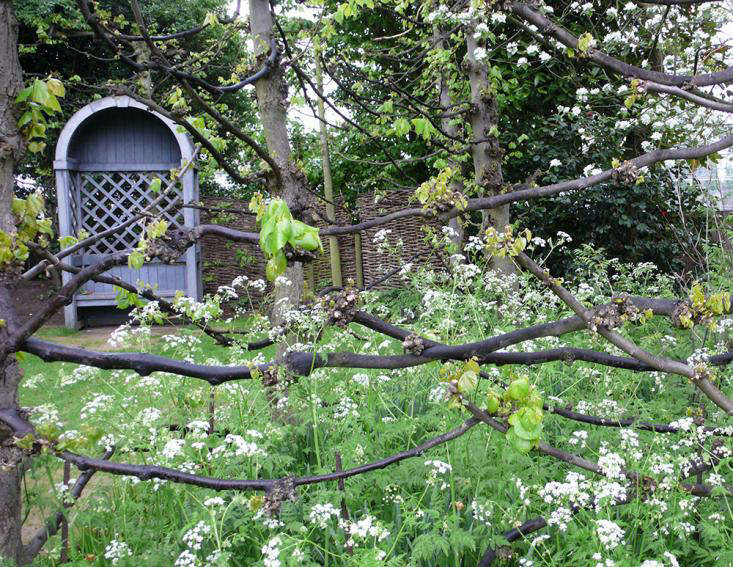 ASecretGardenintheMiddleofRegent'sParkinLondon-Gardenista