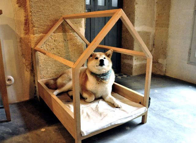 DIY:ATrèsElegantDogBed,ParisEdition-Remodelista