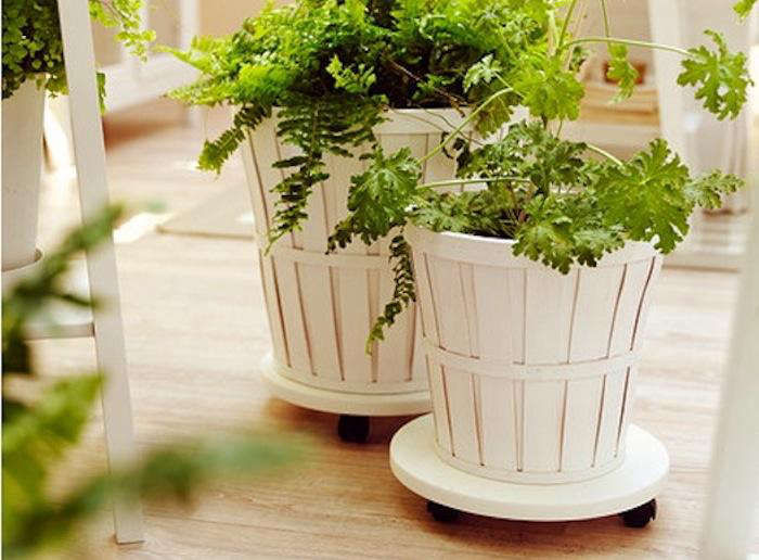 5Favorites:RollingPlantStands-Gardenista