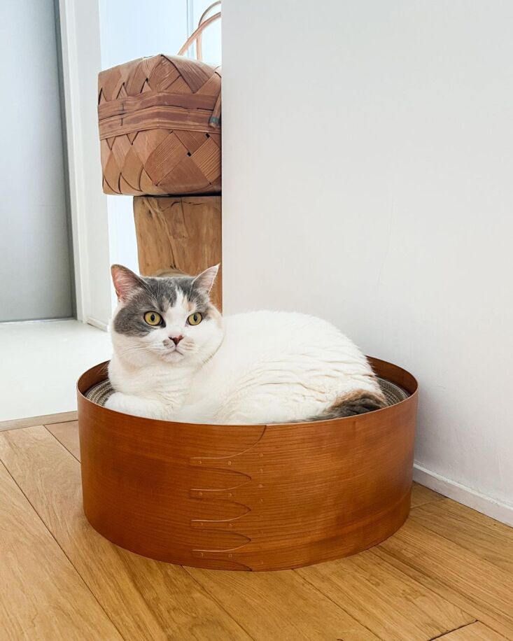 orneko of tokyo specializes in feline accessories designed to be displayed: see 19