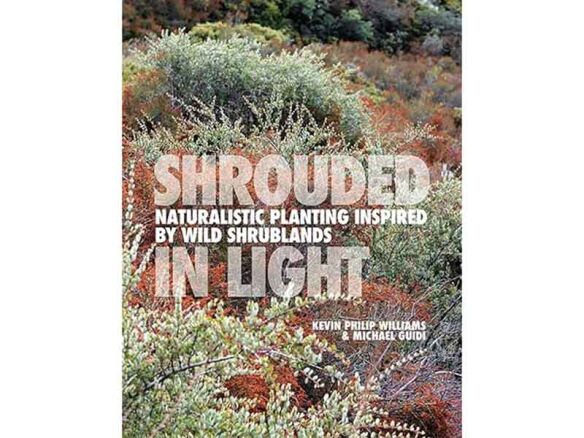 shrouded in light: naturalistic planting inspired by wild shrublands 16