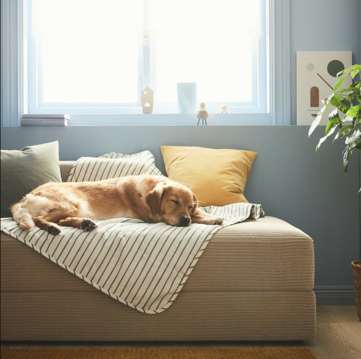 the utsådd pet blanket (\$\19.99) is made from \100 percent recycled polye 17