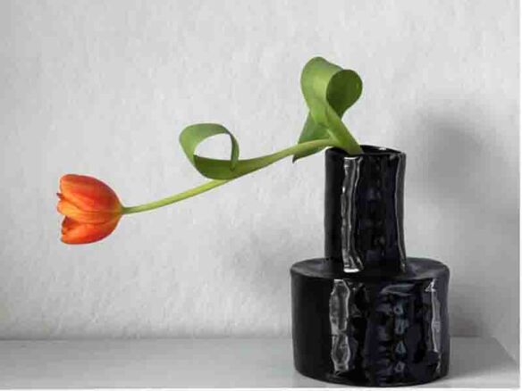 héléna marie deep black vase 8