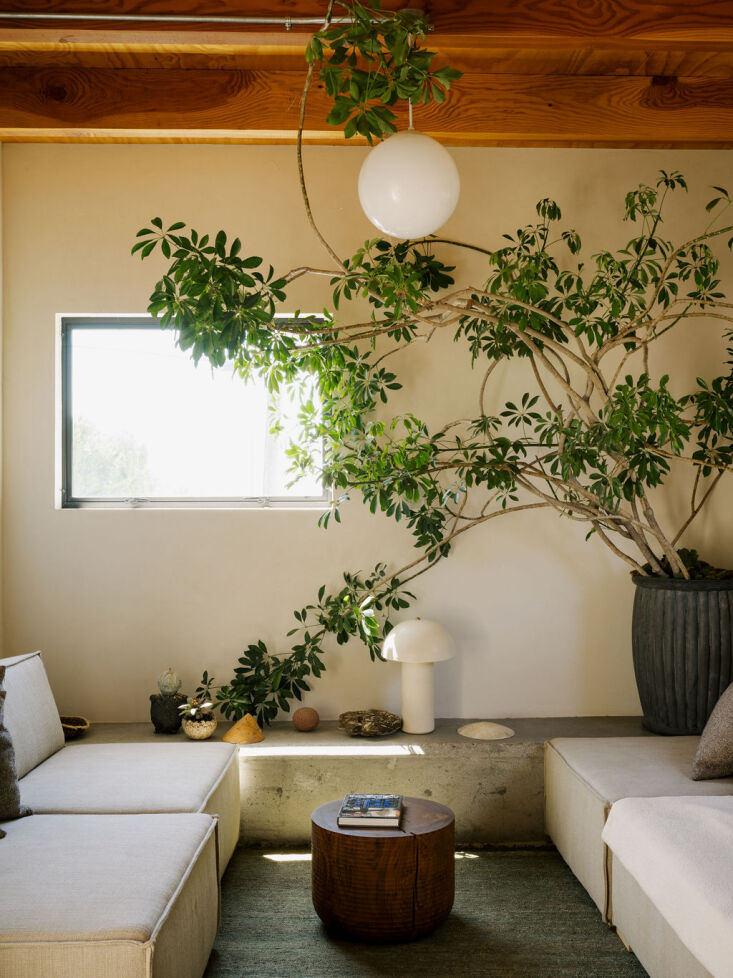 right off the patio is the living area. a low concrete bench spans the width of 26