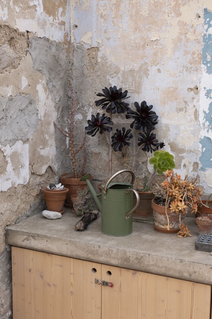 a new built in counter with a sink serves as an outdoor gardening and cooking a 25