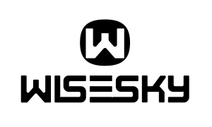 wisekky logo 300x180 7