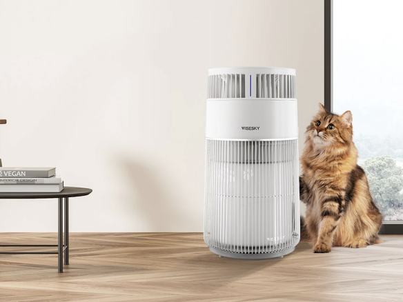 Clean Air for All The Meow Buddy Air Purifier Plus a Discount for Remodelista Readers portrait 3