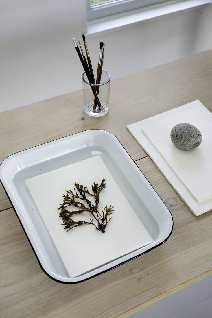 fill a separate tray with at least \1.5 inches of fresh water and submerge a th 19