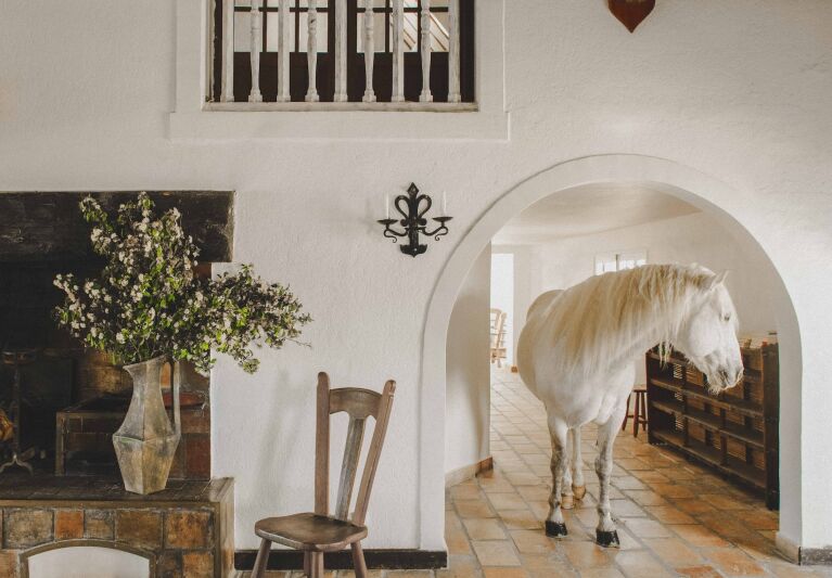 le bains gardians resort camargue france matthieu salvaing hero  