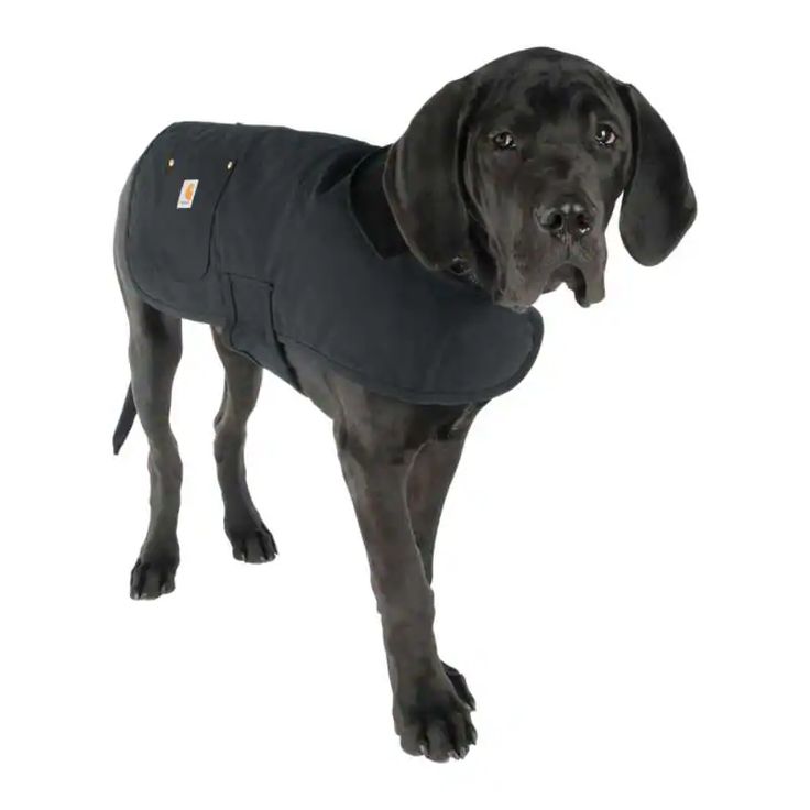 carhartt for all: meet the dog chore coat of duck canvas with a quilted liner,  21