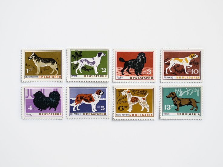 perfect for framing: a dog stamp set from \1964 bulgaria is \$\17 at our f 29