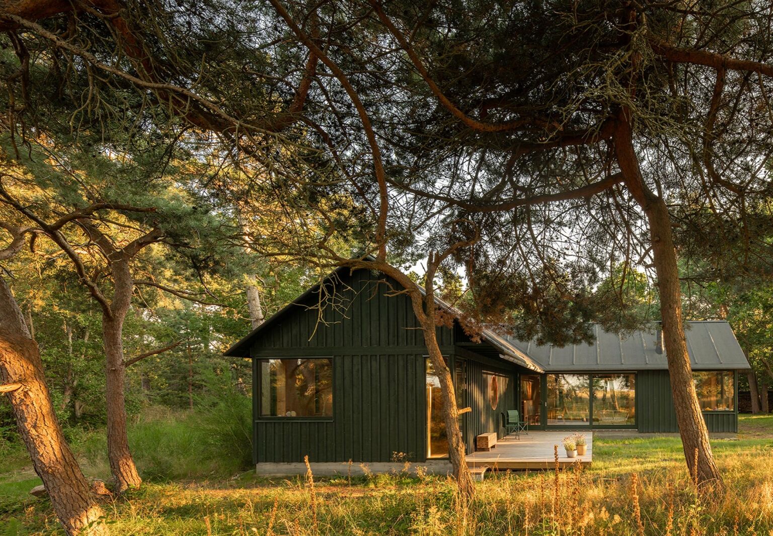 Woodland Marvel: A House of Douglas Fir in a Forest in Denmark