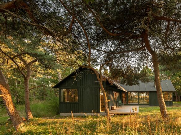 house between the trees denmark peter kjaer james silverman 7  