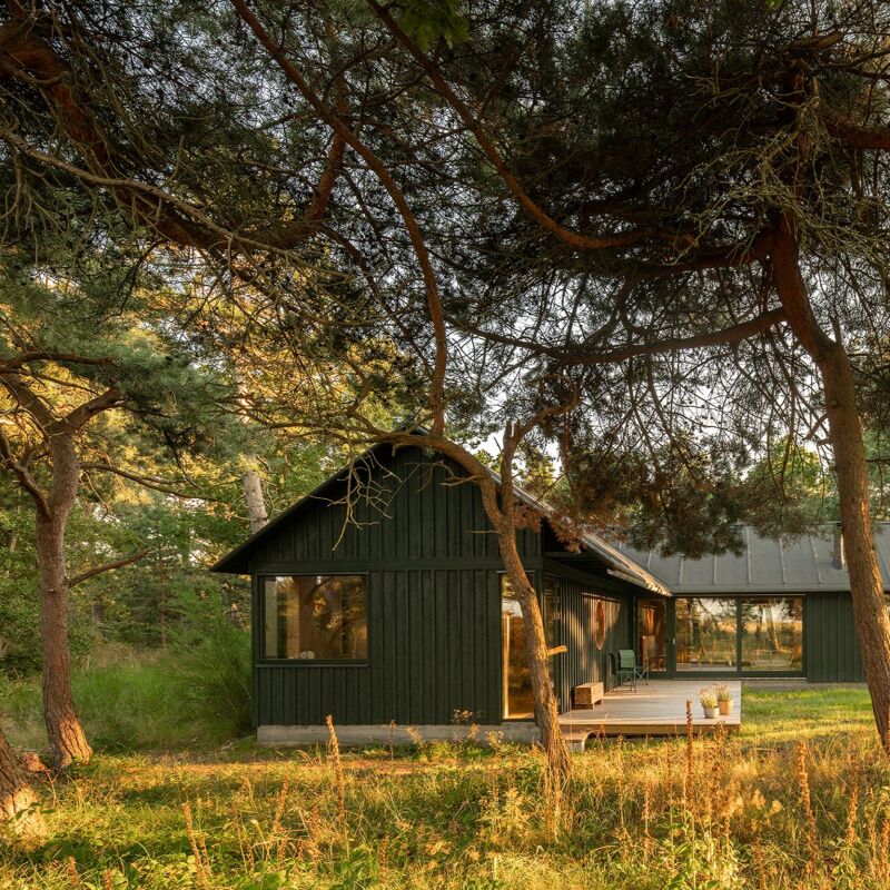 house between the trees denmark peter kjaer james silverman 7  