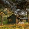 woodland wonder: a house of douglas fir in a forest in denmark 16