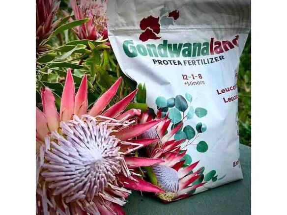 gondwanaland protea fertilizer 3lb bag 11