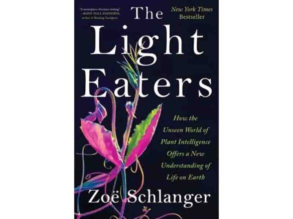 the light eaters: how the unseen world of plant intelligence offers a new under 13