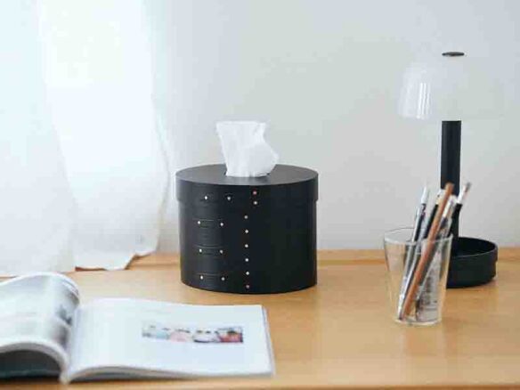 shaker tissue box 10